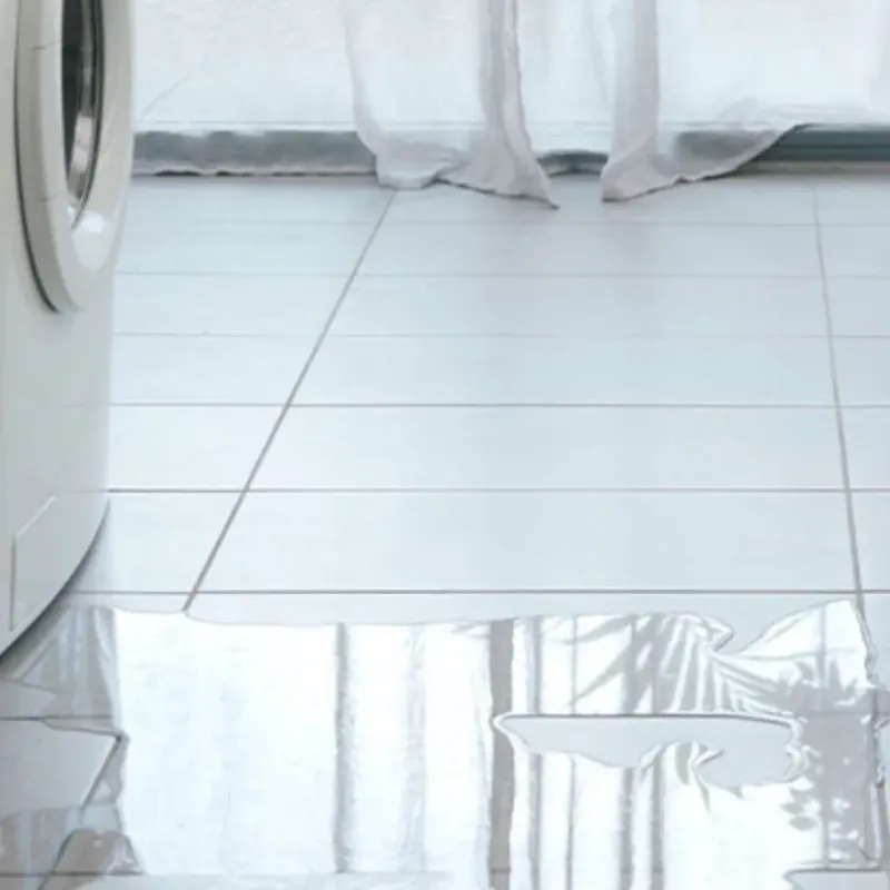Appliance Leak Cleanup in Roseboro, NC