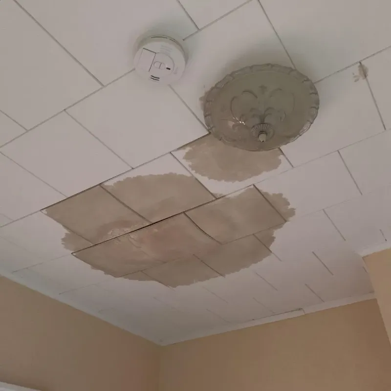 Ceiling Water Damage Repair in Roseboro, NC