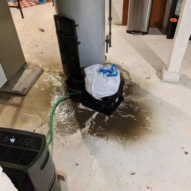 Sewage Backup Cleanup Service in Roseboro, NC